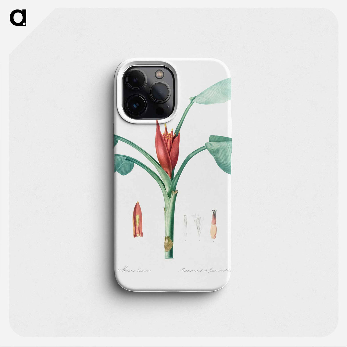 Scarlet banana illustration - Pierre Joseph Redouté Phone Case.