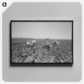 アートパネル-Horse Collars and Bridles
 - ラッセル リー Canvas.
