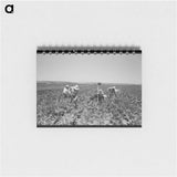 アートメモ帳-Horse Collars and Bridles
 - ラッセル リー Memo.