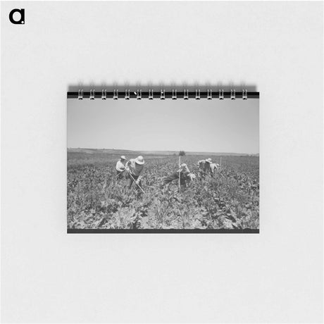 アートメモ帳-Horse Collars and Bridles
 - ラッセル リー Memo.