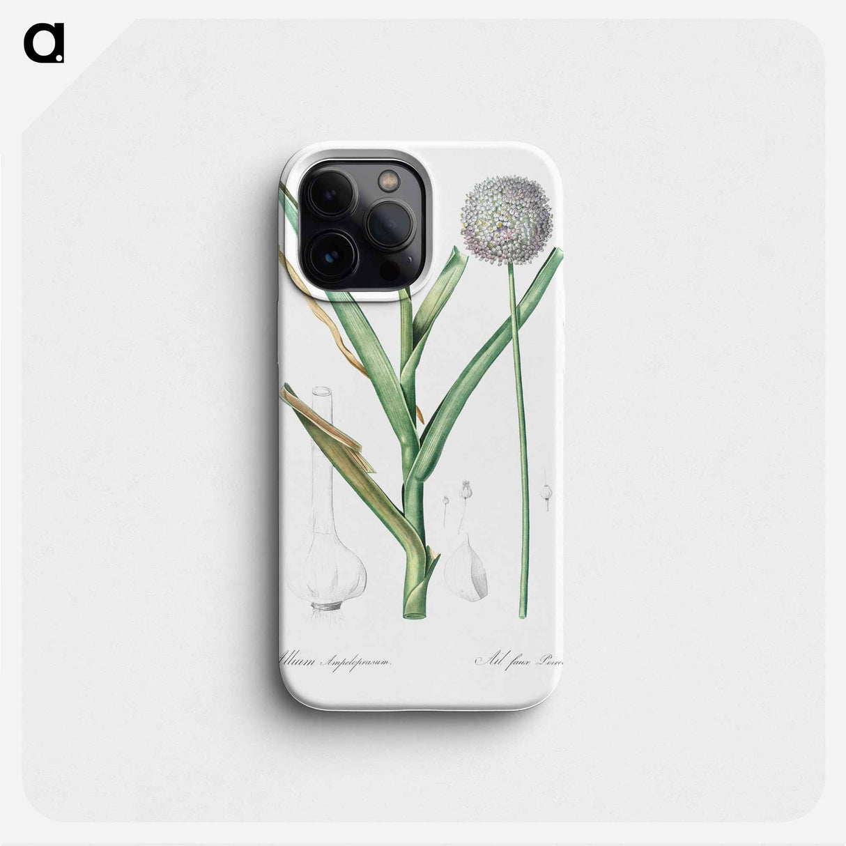 Broadleaf wild leek illustration - Pierre Joseph Redouté Phone Case.