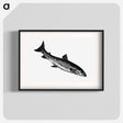 アートポスター-Fish from Nimrod in the North, or Hunting and Fishing Adventures in the Arctic Regions
 - 大英図書館 Poster.