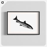 アートポスター-Fish from Nimrod in the North, or Hunting and Fishing Adventures in the Arctic Regions
 - 大英図書館 Poster.