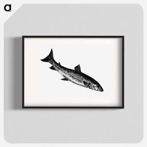アートポスター-Fish from Nimrod in the North, or Hunting and Fishing Adventures in the Arctic Regions
 - 大英図書館 Poster.