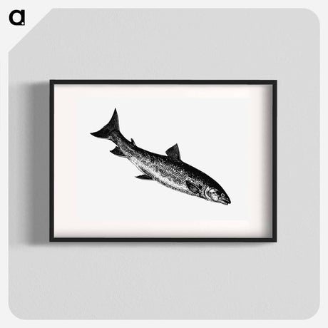 アートポスター-Fish from Nimrod in the North, or Hunting and Fishing Adventures in the Arctic Regions
 - 大英図書館 Poster.