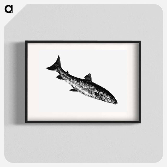 アートポスター-Fish from Nimrod in the North, or Hunting and Fishing Adventures in the Arctic Regions
 - 大英図書館 Poster.