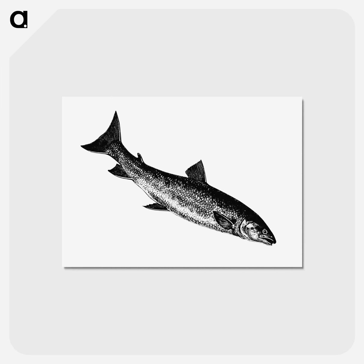 アートポストカード-Fish from Nimrod in the North, or Hunting and Fishing Adventures in the Arctic Regions
 - 大英図書館 Postcard.