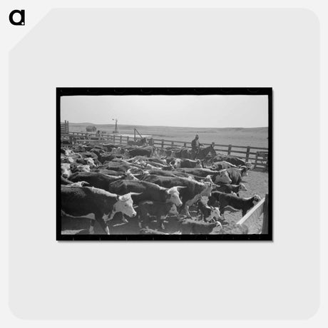 アートポストカード-Cattle Branding Roundup
 - ラッセル リー Postcard.