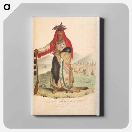 アートパネル-Aboriginal Port Folio
 - セントルイス美術館 Canvas.