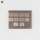アートメモ帳-Trotting - Change to Running
 - エドワード マイブリッジ Memo.
