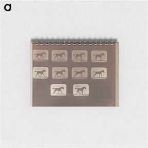 アートメモ帳-Trotting - Change to Running
 - エドワード マイブリッジ Memo.