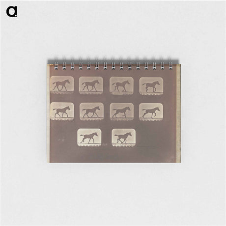 アートメモ帳-Trotting - Change to Running
 - エドワード マイブリッジ Memo.