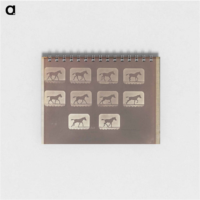 アートメモ帳-Trotting - Change to Running
 - エドワード マイブリッジ Memo.