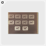 アートポストカード-Trotting - Change to Running
 - エドワード マイブリッジ Postcard.