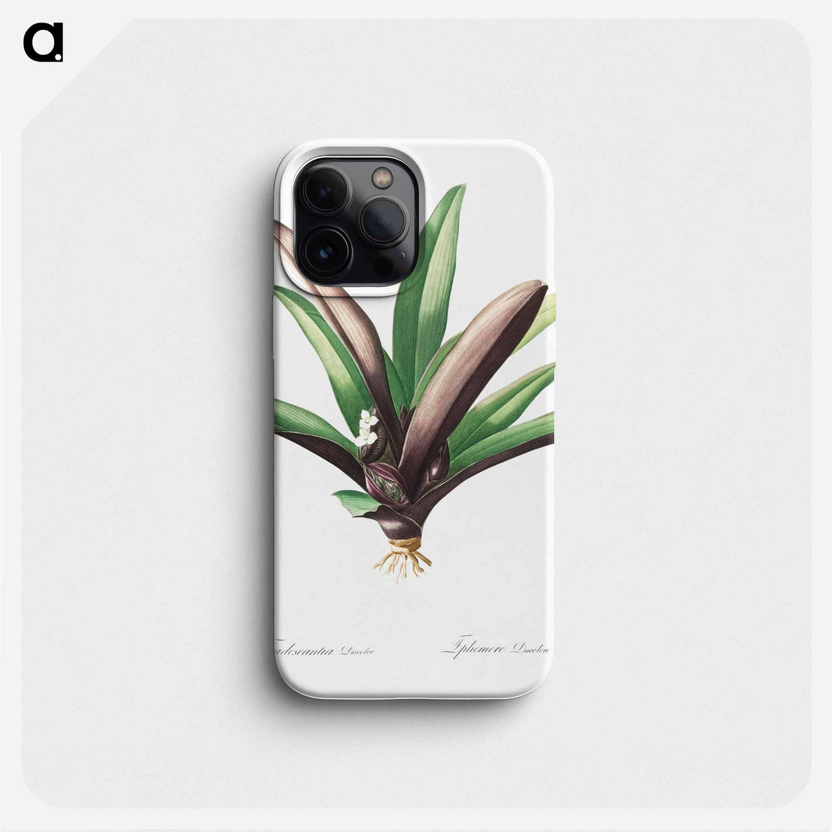 Boat lily illustration - ピエール ジョゼフ ルドゥーテ Phone Case.