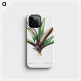 Boat lily illustration - ピエール ジョゼフ ルドゥーテ Phone Case.