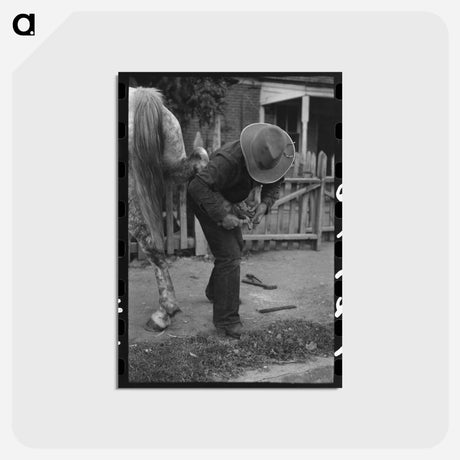 アートポストカード-Mormon Farmer Shoeing a Horse
 - ラッセル リー Postcard.