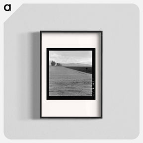 アートポスター-Freshly-plowed sugar beet field near King City - ドロテア ラング Poster.
