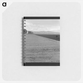 アートメモ帳-Freshly-plowed sugar beet field near King City - ドロテア ラング Memo.