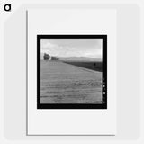 Freshly-plowed sugar beet field near King City - Dorothea Lange Poster.