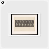 アートポストカード-Hemiplegic Man with Crutch
 - エドワード マイブリッジ Postcard.