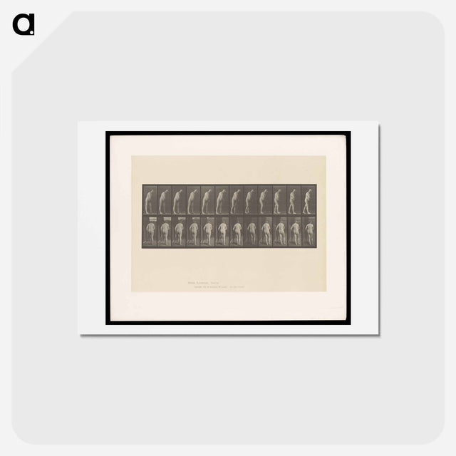 アートポストカード-Hemiplegic Man with Crutch
 - エドワード マイブリッジ Postcard.