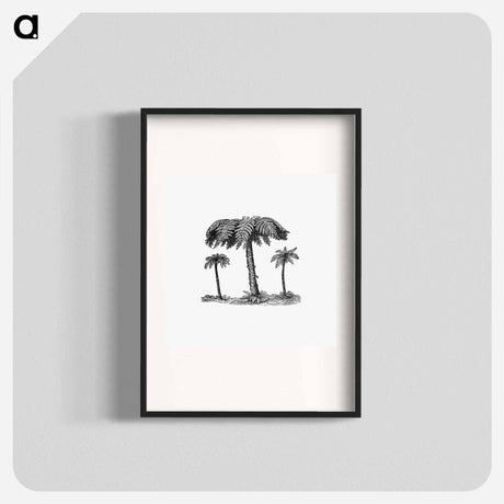 アートポスター-Fern from Elementary Geology
 - 大英図書館 Poster.