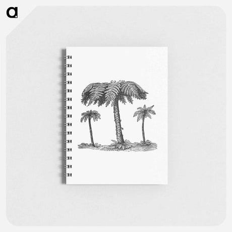アートメモ帳-Fern from Elementary Geology
 - 大英図書館 Memo.