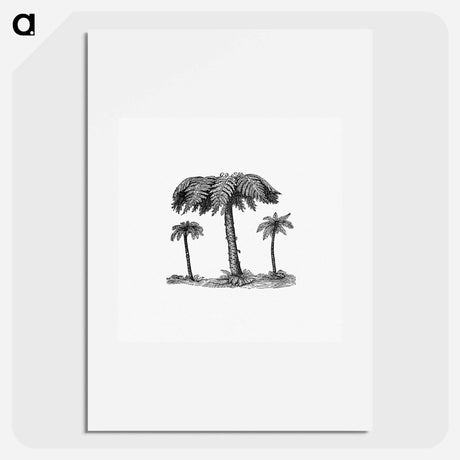 アートポスター-Fern from Elementary Geology
 - 大英図書館 Poster.