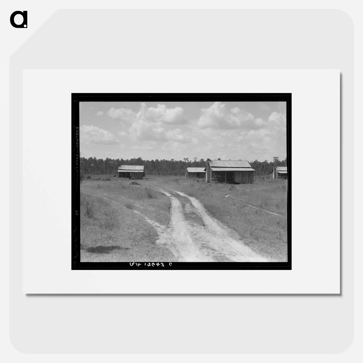 Turpentine worker's cabins - Dorothea Lange Poster.