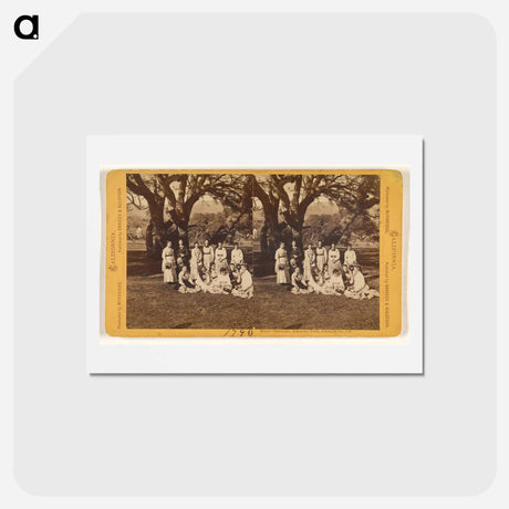 アートポストカード-Mills' Seminary Park
 - エドワード マイブリッジ Postcard.