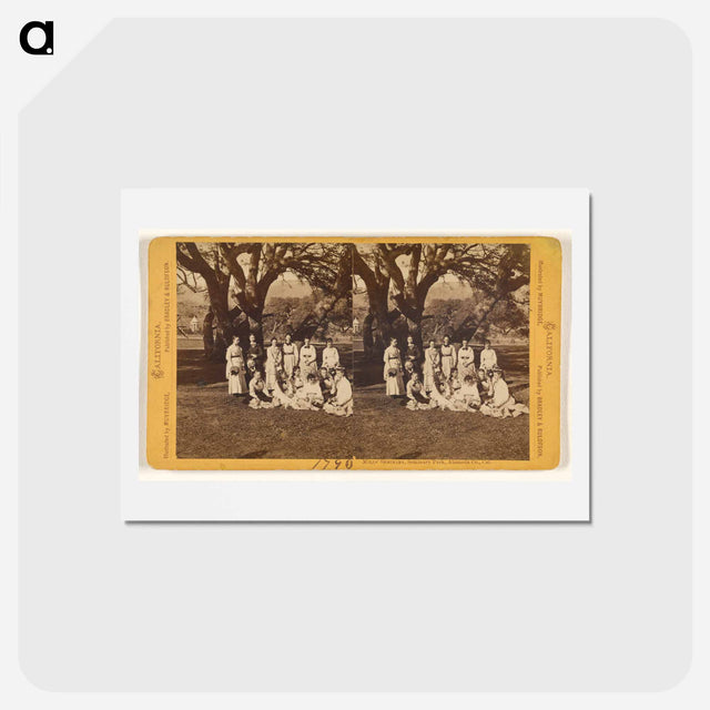 アートポストカード-Mills' Seminary Park
 - エドワード マイブリッジ Postcard.