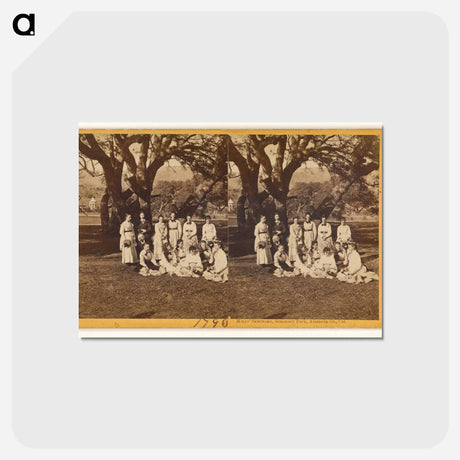 アートポストカード-Mills' Seminary Park
 - エドワード マイブリッジ Postcard.