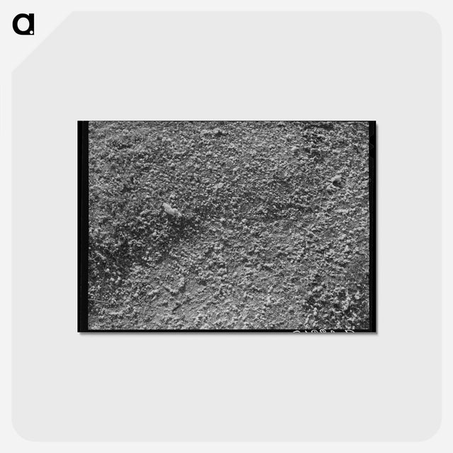 アートポストカード-Cotton Gin Waste
 - ラッセル リー Postcard.