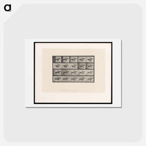 アートポストカード-Man on Horse
 - エドワード マイブリッジ Postcard.