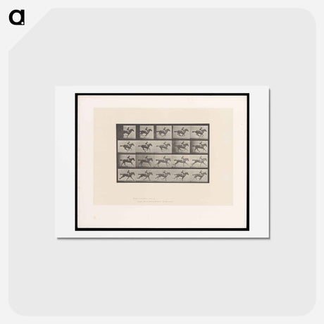 アートポストカード-Man on Horse
 - エドワード マイブリッジ Postcard.