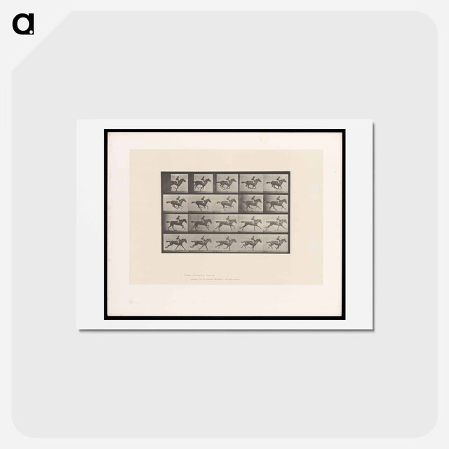 アートポストカード-Man on Horse
 - エドワード マイブリッジ Postcard.