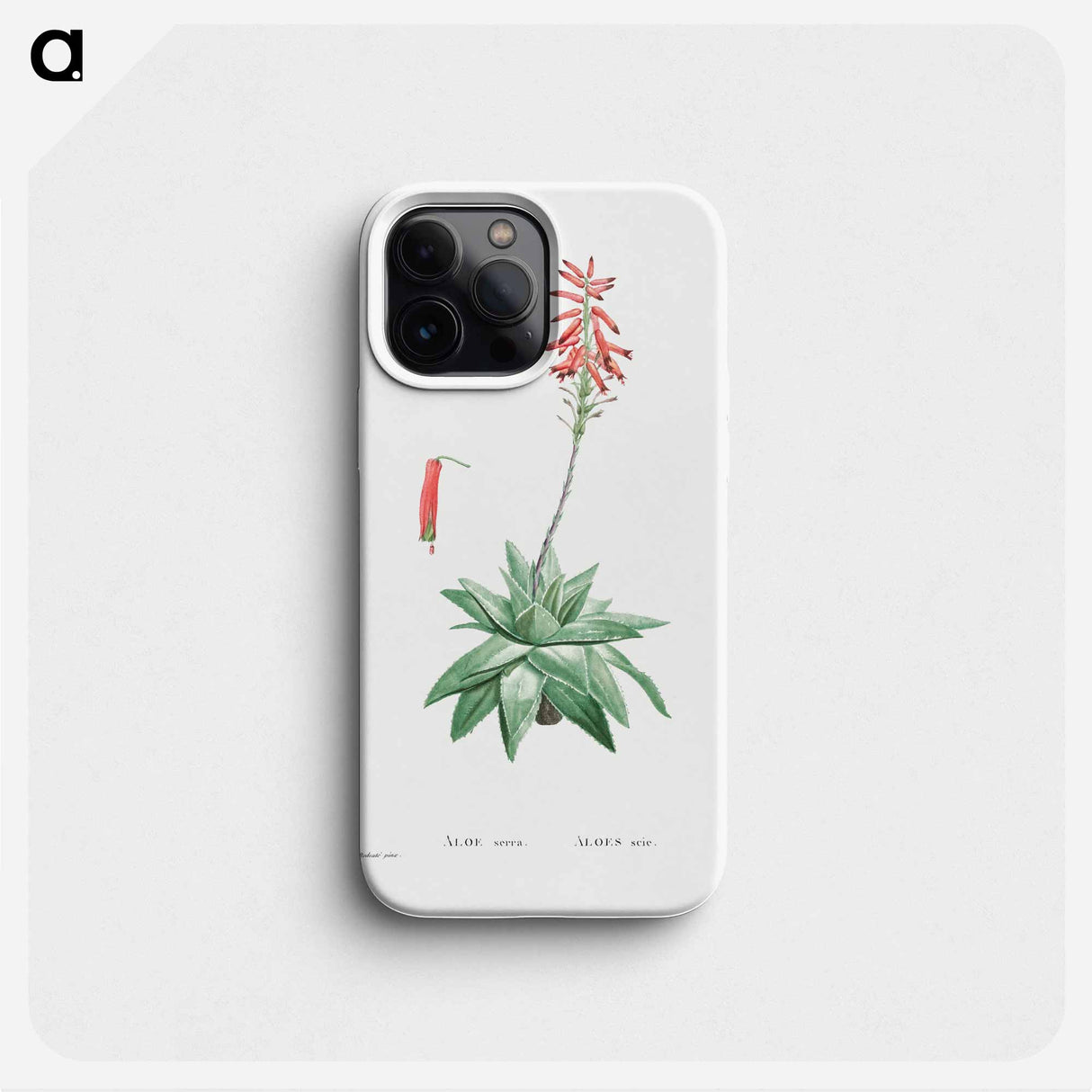 Aloe Serra - ピエール ジョゼフ ルドゥーテ Phone Case.