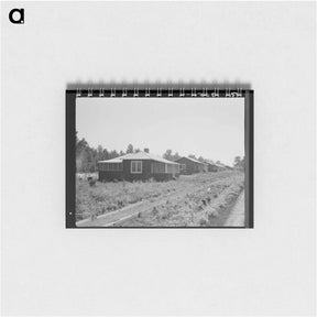 アートメモ帳-Cabins at the Delta cooperative farms - ドロテア ラング Memo.