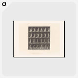 アートポストカード-Woman Grasping Her Dress
 - エドワード マイブリッジ Postcard.