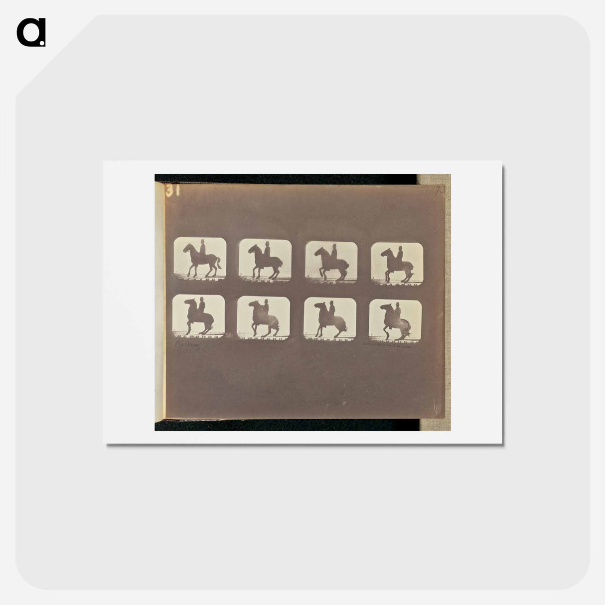 アートポストカード-Backing
 - エドワード マイブリッジ Postcard.