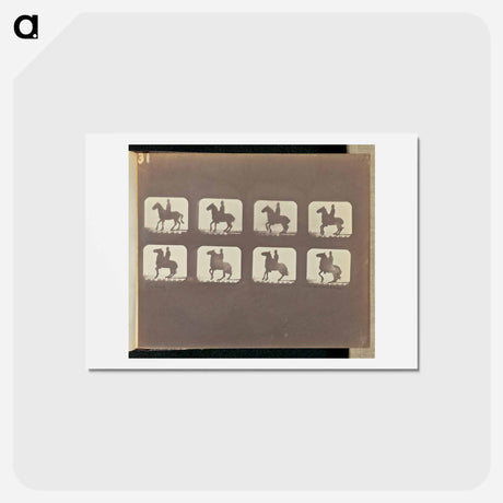 アートポストカード-Backing
 - エドワード マイブリッジ Postcard.