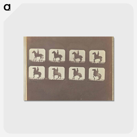 アートポストカード-Backing
 - エドワード マイブリッジ Postcard.