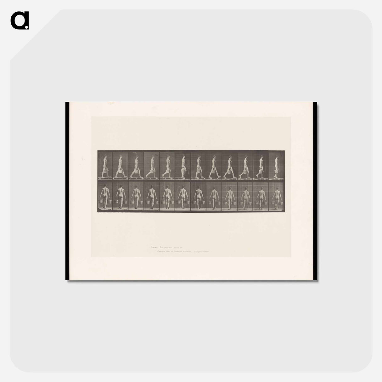アートポストカード-Man with Buckets
 - エドワード マイブリッジ Postcard.