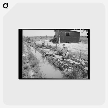 アートポストカード-Dead Ox Flat
 - ラッセル リー Postcard.