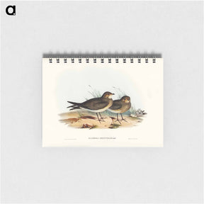 アートメモ帳-Oriental Pratincole
 - ジョン グールド Memo.