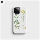 Kalanchoe Spathulata (Never Die) - Pierre Joseph Redouté Phone Case.