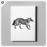 アートパネル-Jackal from The Land of the Lion; or, Adventures Among the Wild Animals of Africa
 - 大英図書館 Canvas.