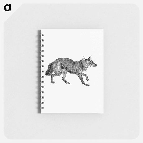 アートメモ帳-Jackal from The Land of the Lion; or, Adventures Among the Wild Animals of Africa
 - 大英図書館 Memo.