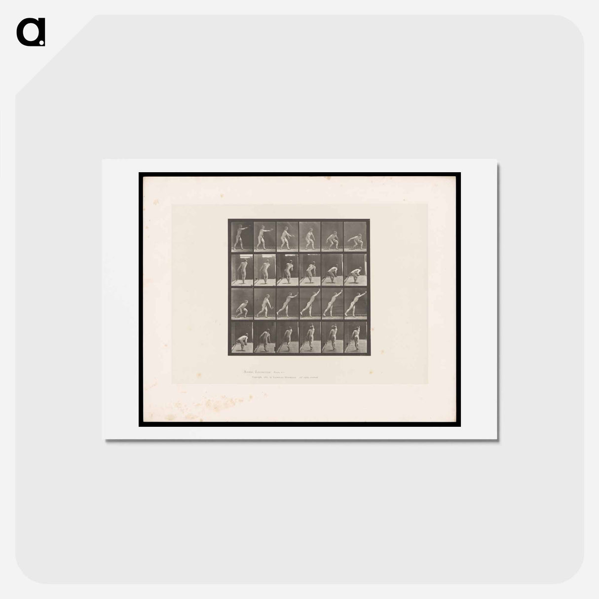 アートポストカード-Discus Thrower
 - エドワード マイブリッジ Postcard.
